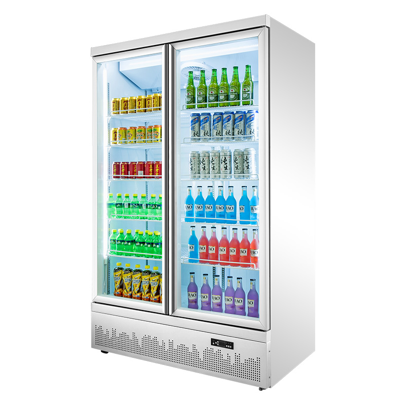 bottle cooler-2door