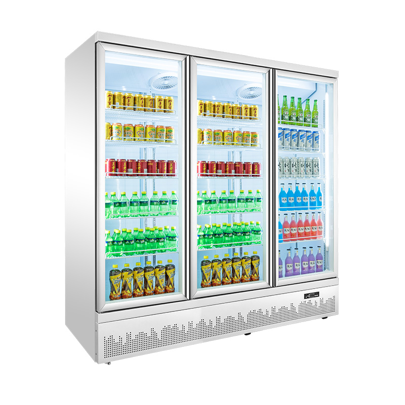 bottle cooler-3 door